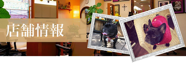 店舗情報